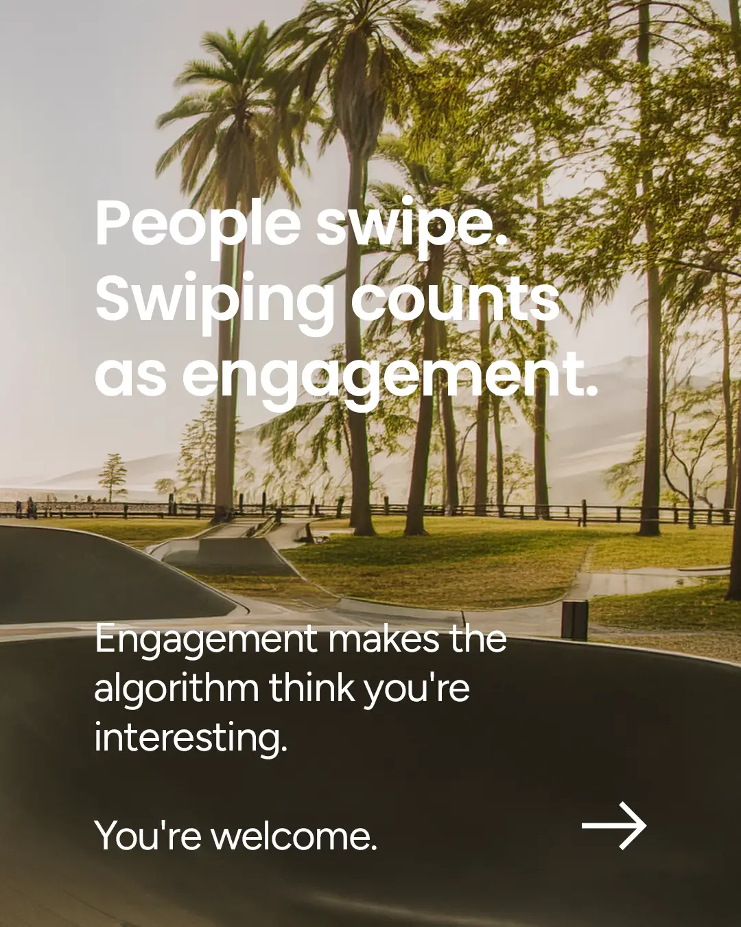 Skate park with palm trees and text about swiping counting as engagement in an algorithm.